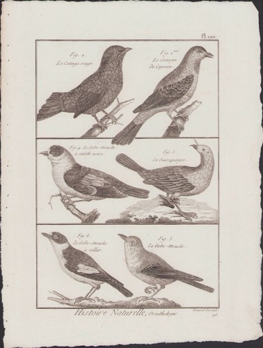 1790 buffon bonnaterre - 1790,
