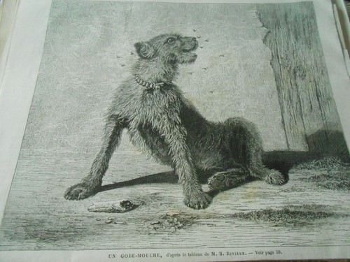 Gravure 1868 gobe - 1868, un