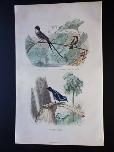 Gravure couleur - , de