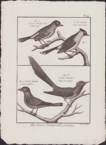 1790 buffon bonnaterre - 1790,